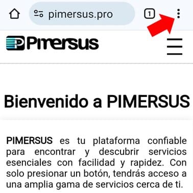 buscando pimersus