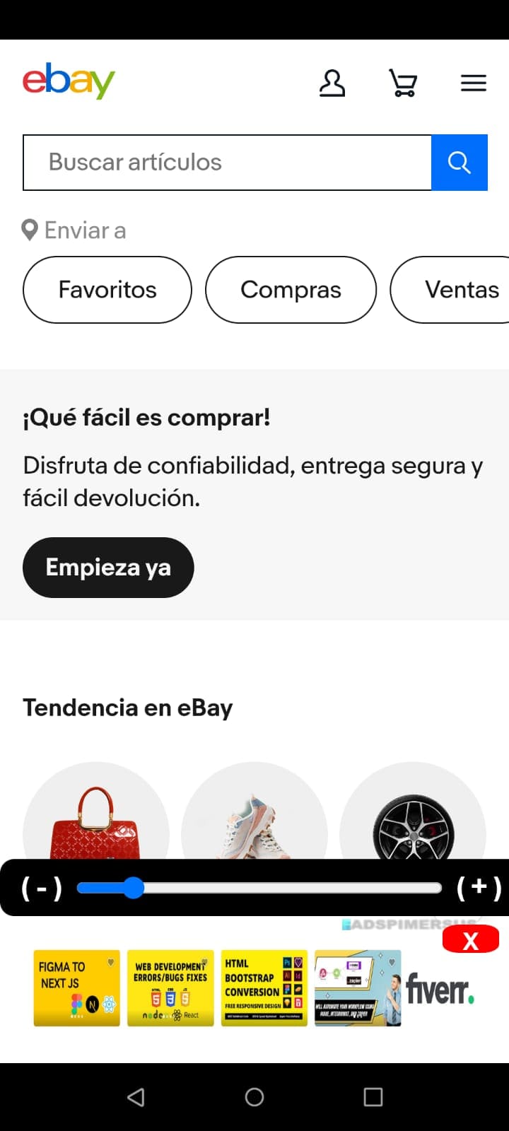 web browser with text magnification